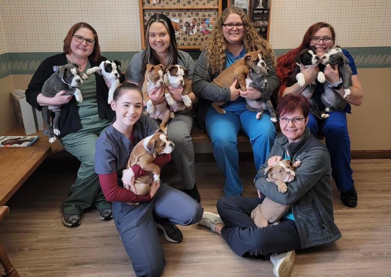 Delphos Animal Hospital animal hospital in Delphos